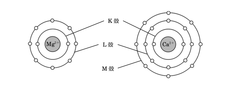 解説画像